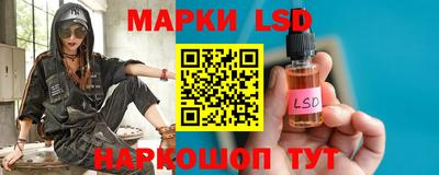 шишки Новодвинск