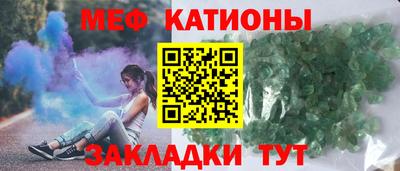 шишки Новодвинск
